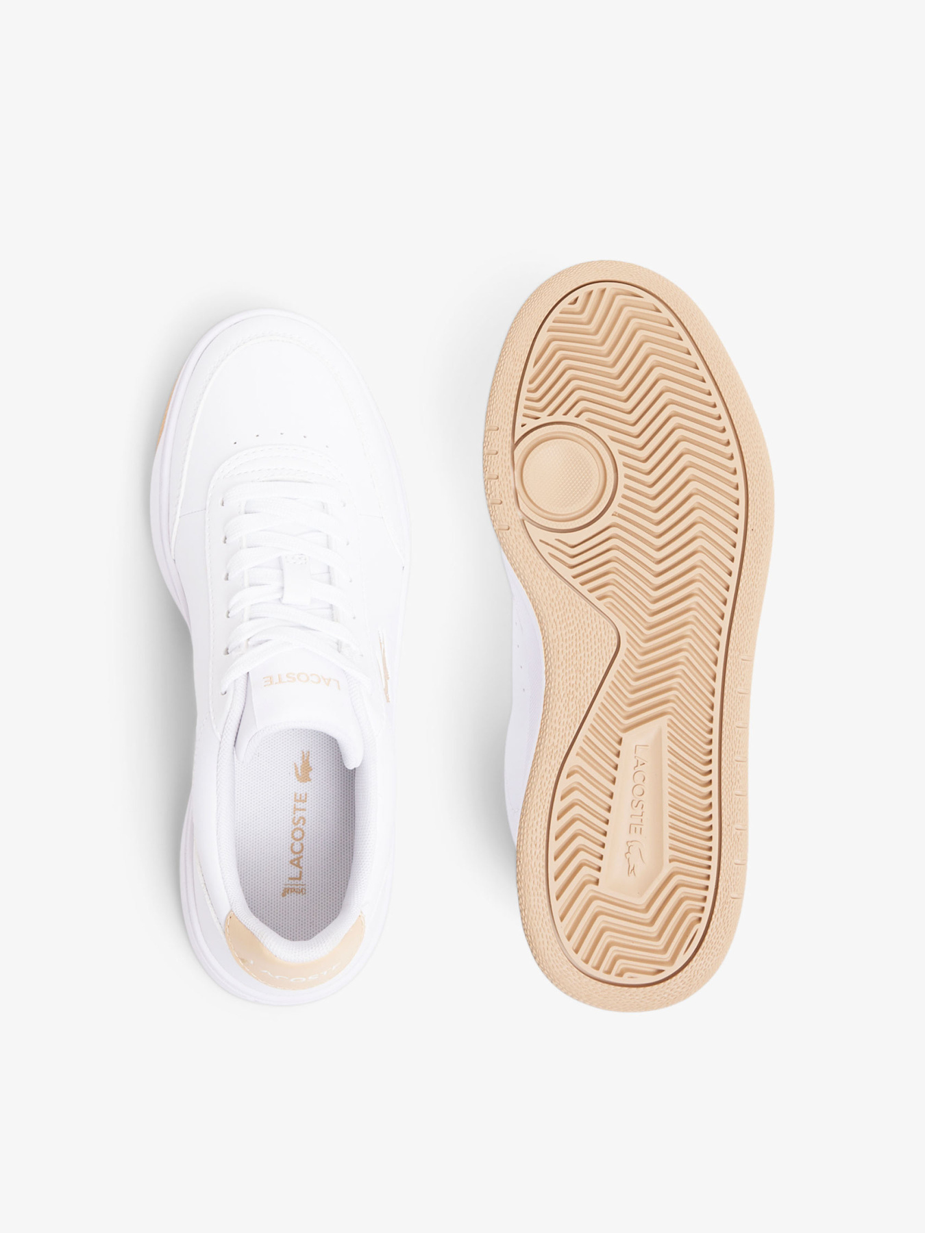 Кросівки Lacoste модель 750SFA007083J Кросівки Lacoste модель 750SFA007083J Фото