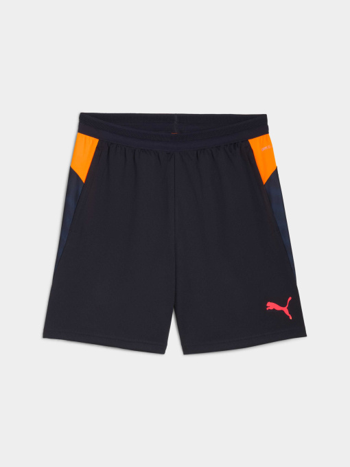 Шорты PUMA Individualcup Trg Shorts модель 660248 Фото