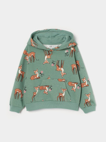 Худі та світшоти H&M модель 8791083kwer_Зеленый Фото