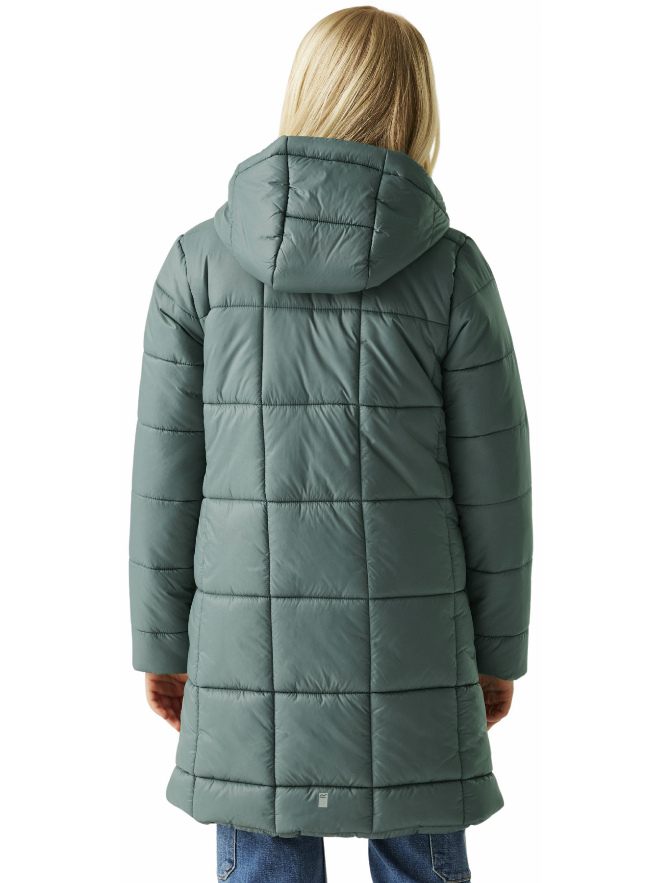 Куртки та дублянки Regatta Juniorembrie модель RKN195-ZM6 Фото