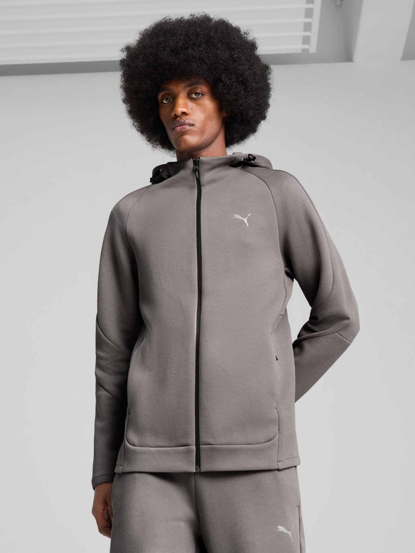 Куртки та дублянки PUMA Evostripe Full-zip Hoodie модель 684613 Куртки та дублянки PUMA Evostripe Full-zip Hoodie модель 684613 Фото