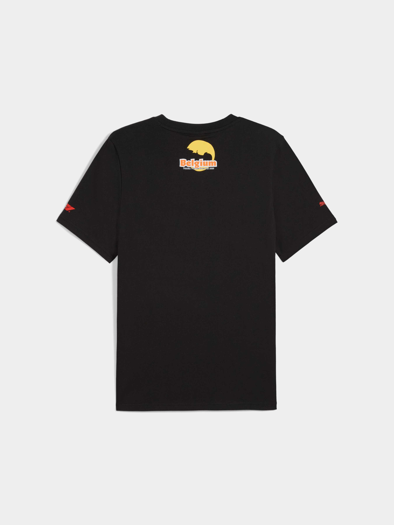 Футболки и поло PUMA F1 Belgium Tee модель 630230 Фото