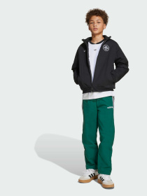 Брюки Adidas модель JW9120 Фото