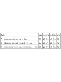 Худи и свитшоты Носи своє модель 6393-025-33-1-1-chornij Фото