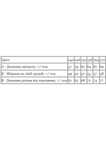 Худи и свитшоты Носи своє модель 6416-025-33-1-chornij Фото