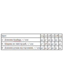 Худи и свитшоты Носи своє модель 6404-025-33-5-fuksq Фото