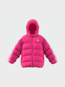 Куртки и дубленки Adidas Adicolor модель IY4809 Фото