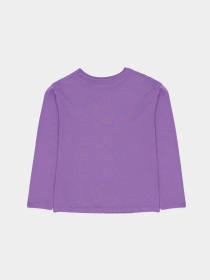 Худи и свитшоты H&M модель 1087922rаl_Фиолетовый Фото