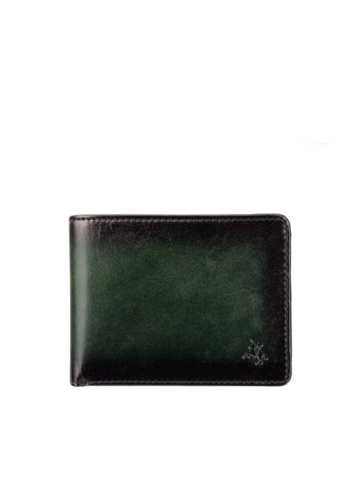 Кошельки Visconti Roland модель AT63 GREEN Фото