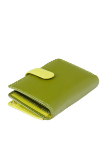 Гаманці Visconti модель RB51 LIME M Фото