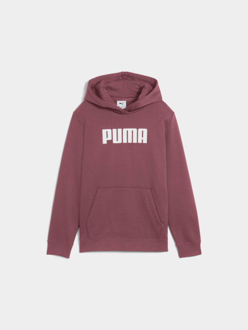 Худи и свитшоты PUMA Ess Logo Hoodie Fl G модель 688353 Фото