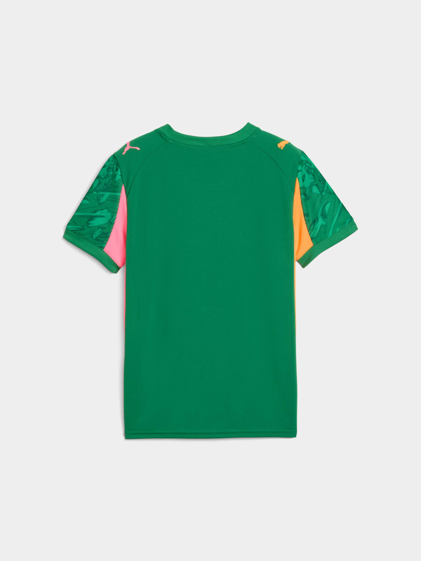 Футболки и поло PUMA Gk Concept Jersey Repl Ss Jr модель 780271 Футболки и поло PUMA Gk Concept Jersey Repl Ss Jr модель 780271 Фото