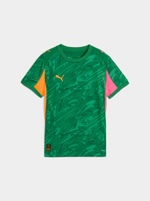 Футболки и поло PUMA Gk Concept Jersey Repl Ss Jr модель 780271 Фото