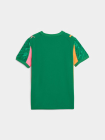 Футболки и поло PUMA Gk Concept Jersey Repl Ss Jr модель 780271 Фото