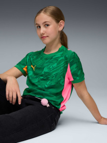 Футболки и поло PUMA Gk Concept Jersey Repl Ss Jr модель 780271 Фото