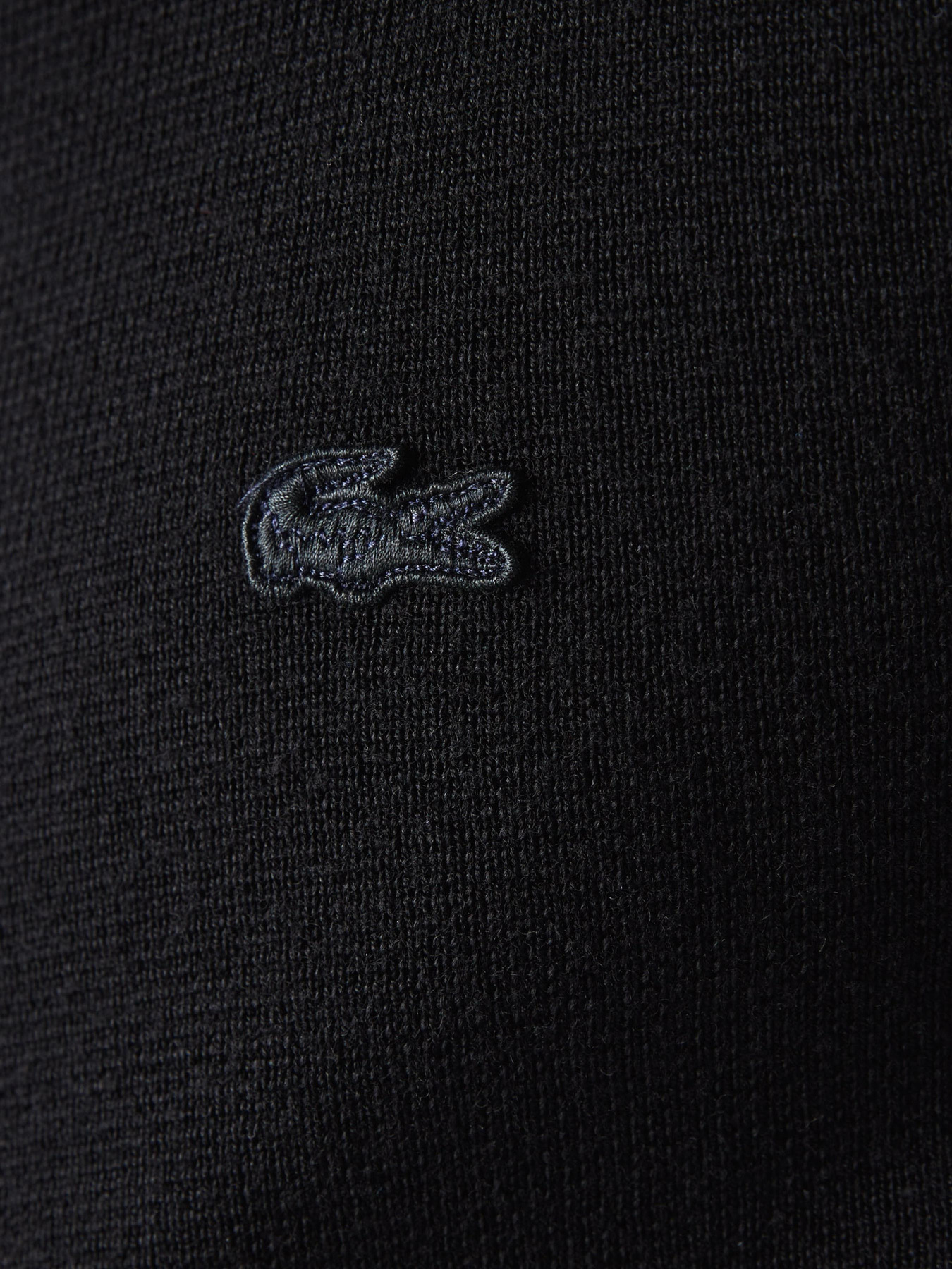 Худи и свитшоты Lacoste модель AH1955031 Фото
