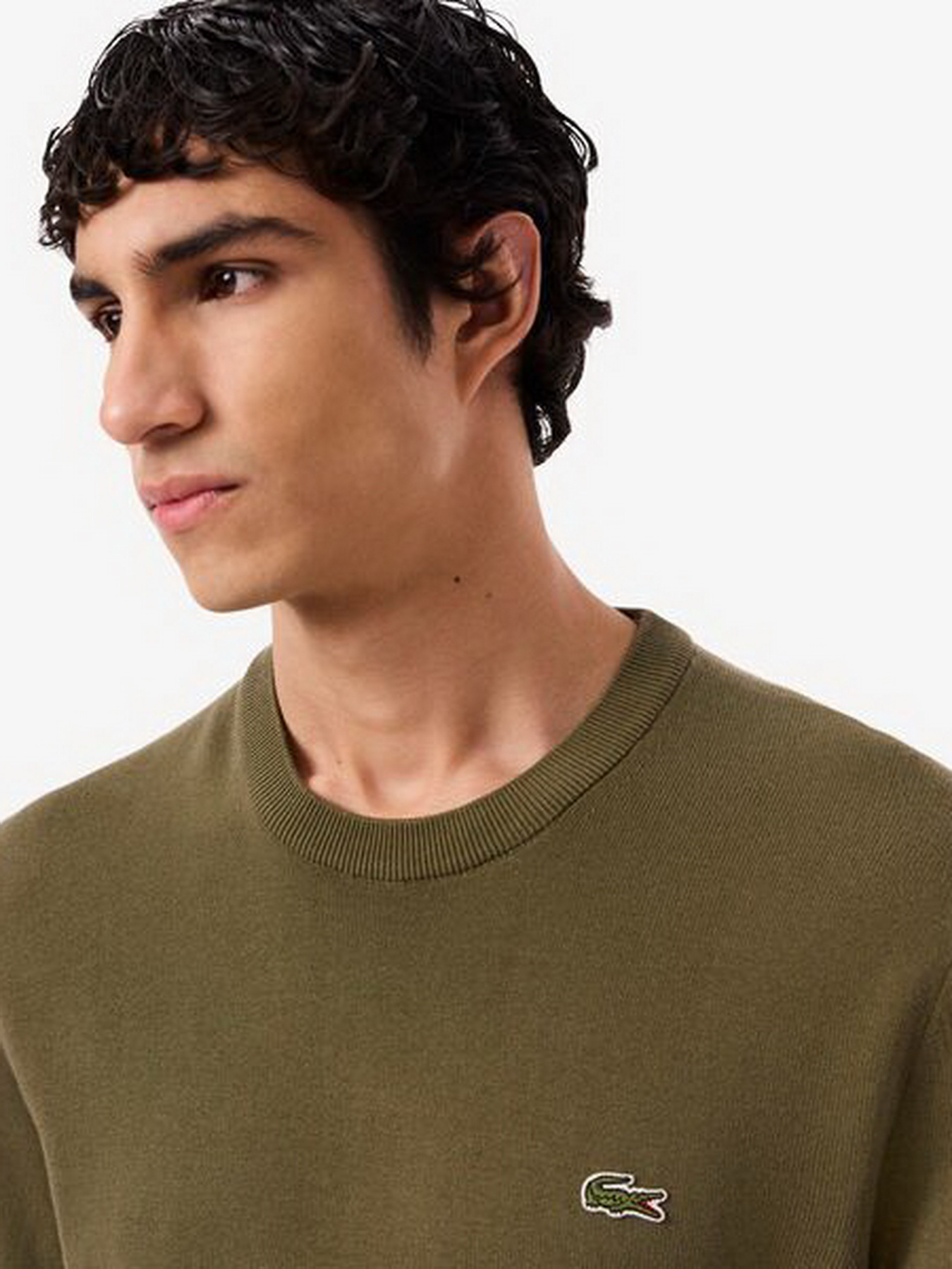 Свитры и кардиганы Lacoste модель AH1985E9F Свитры и кардиганы Lacoste модель AH1985E9F Фото