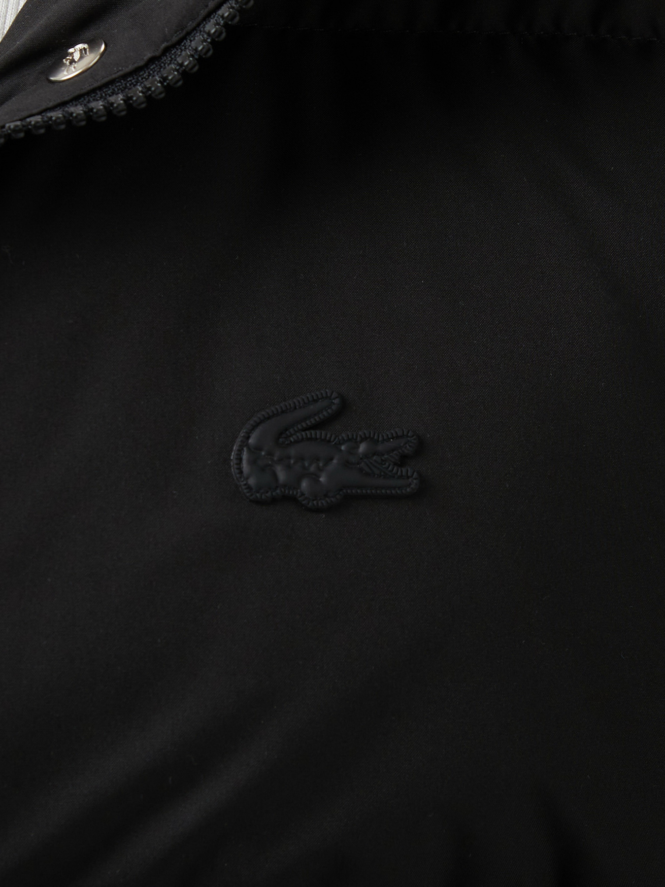 Куртки и дубленки Lacoste модель BF2614031 Фото