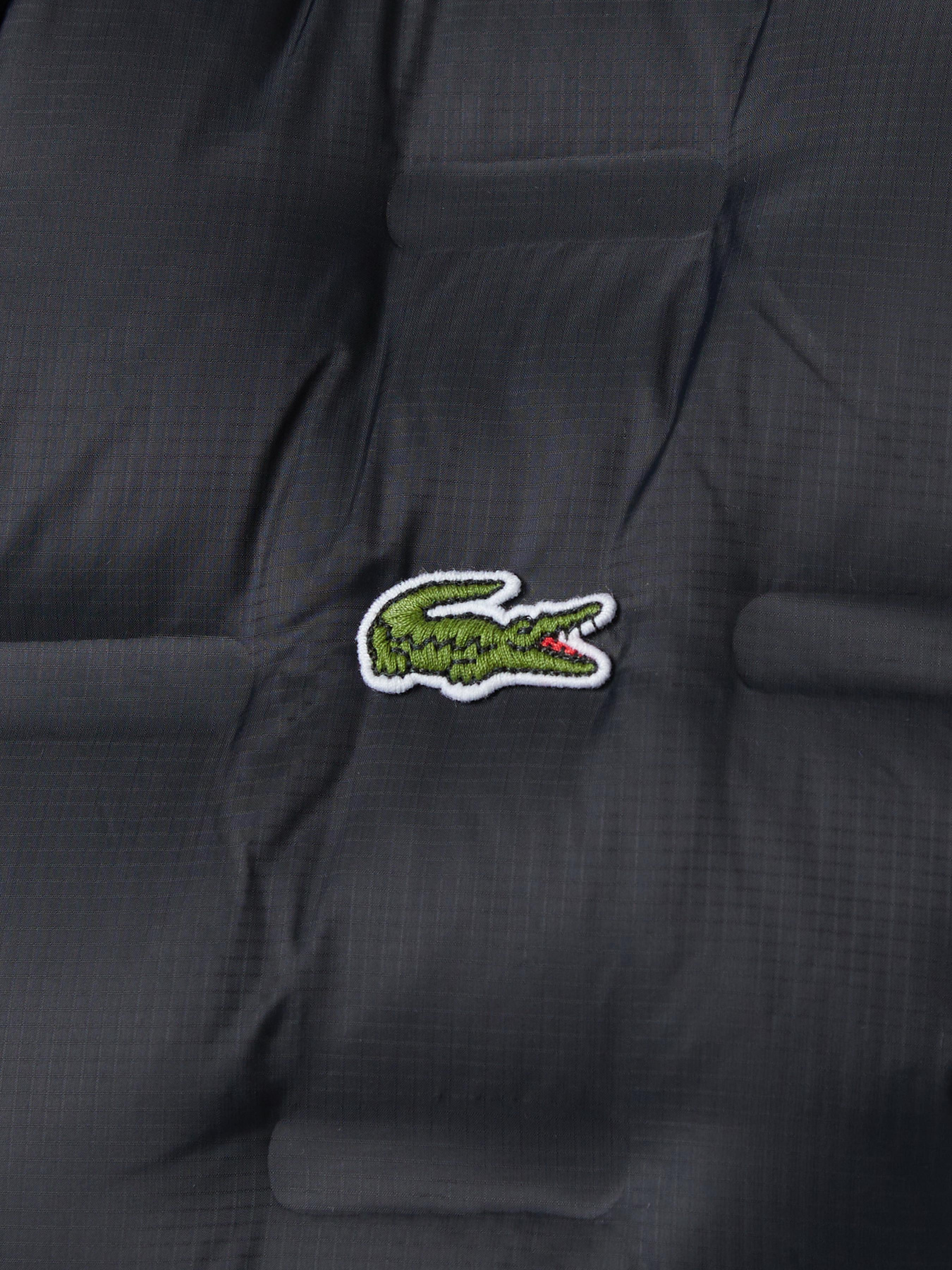 Куртки та дублянки Lacoste модель BH2502T031 Фото