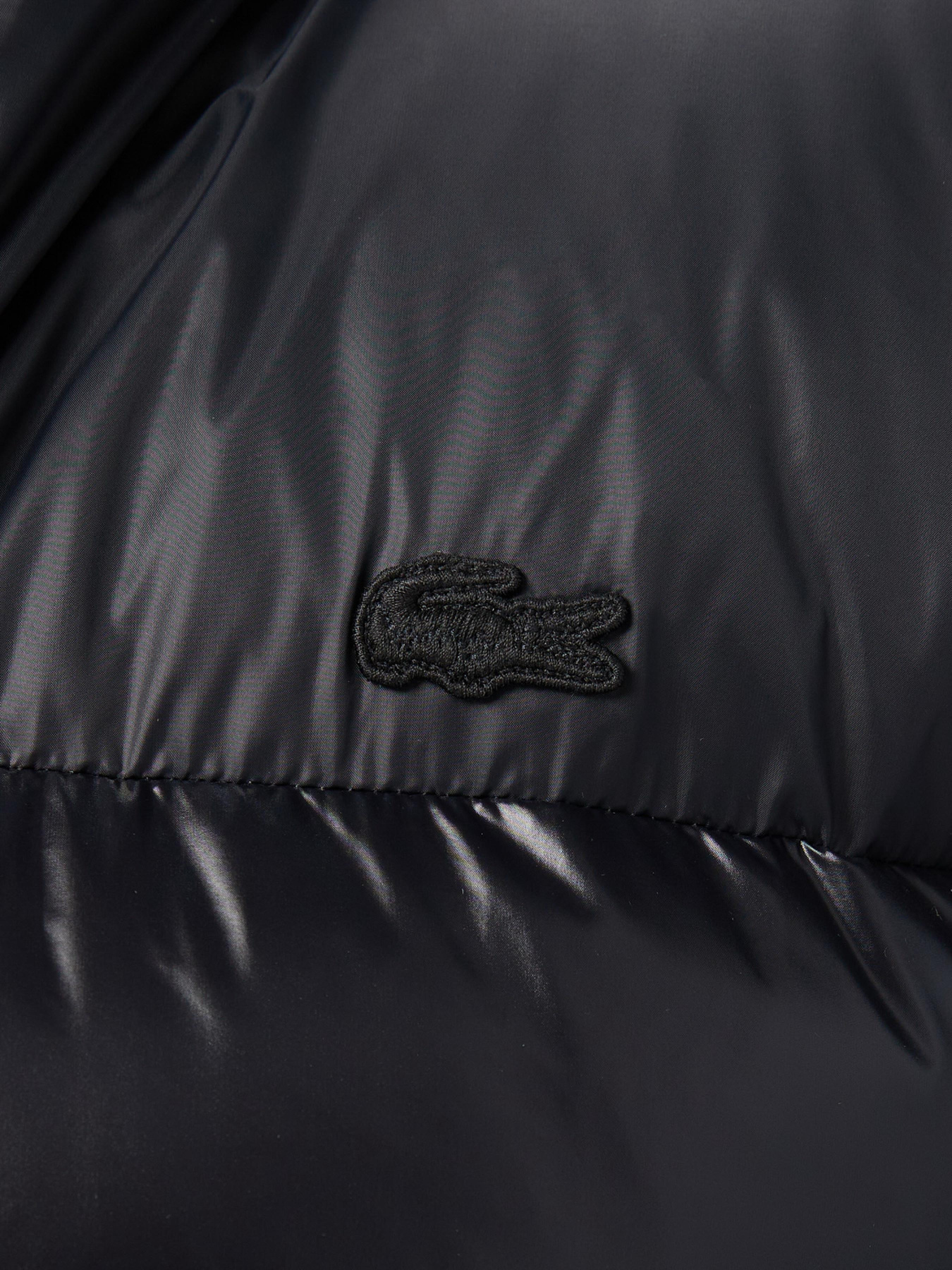 Куртки та дублянки Lacoste модель BH2642031 Фото
