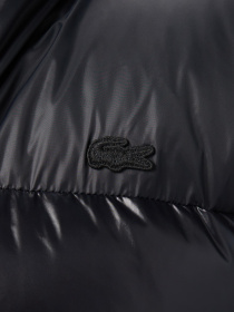 Куртки та дублянки Lacoste модель BH2642031 Фото