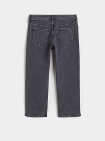 Джинсы H&M модель 10983326kwer_Серый Фото