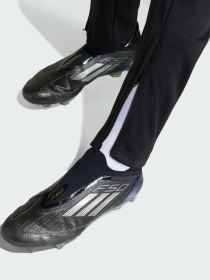 Брюки Adidas модель JZ6550 Фото
