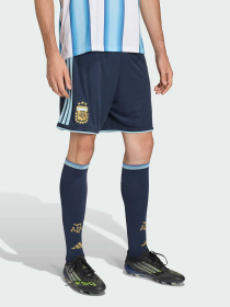 Шорты Adidas модель JM1325 Фото