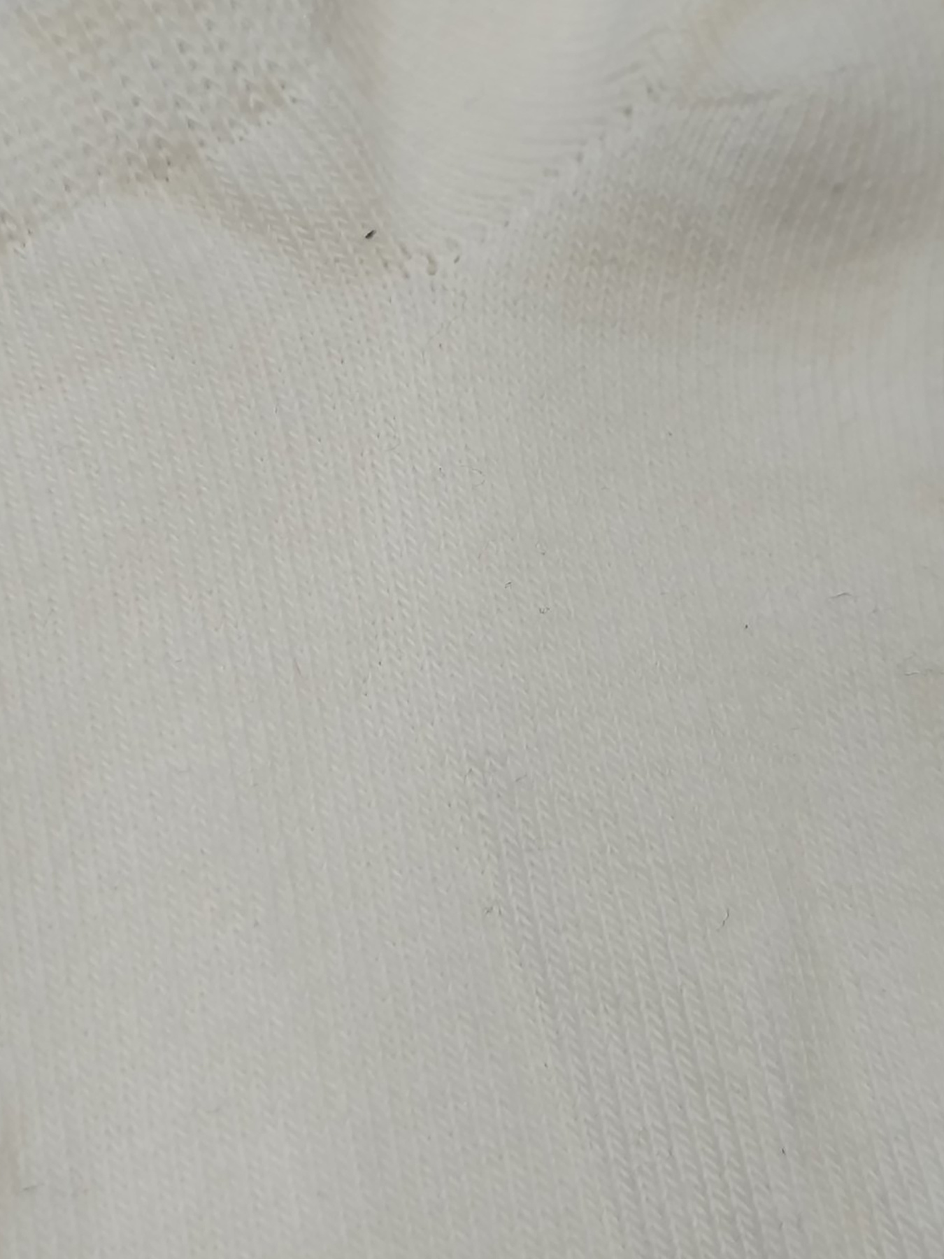 Носки и гольфы H&M модель 79489 Фото