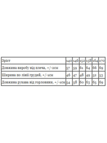 Худи и свитшоты Носи своє модель 6394-025-1-sinxo-chornij Фото