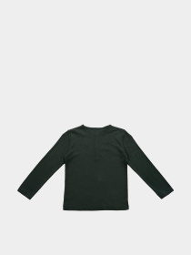 Худи и свитшоты H&M модель 7896691kwer_Темно-зеленый Фото