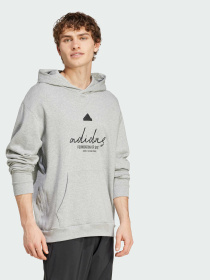 Худі та світшоти Adidas модель IX1316 Фото