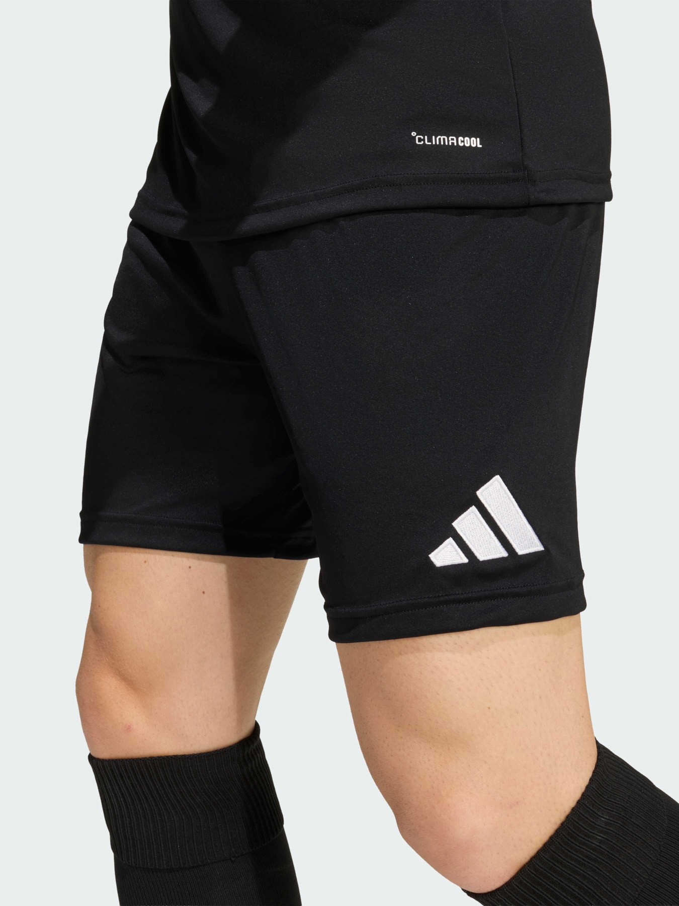 Шорты Adidas модель JZ2521 Шорты Adidas модель JZ2521 Фото