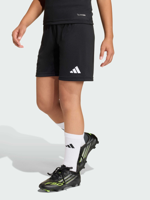 Шорты Adidas модель JZ6531 Фото