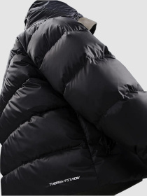 Куртки та дублянки NIKE M Windrunner Stmnt Dwn Jkt модель HQ7790-011 Фото