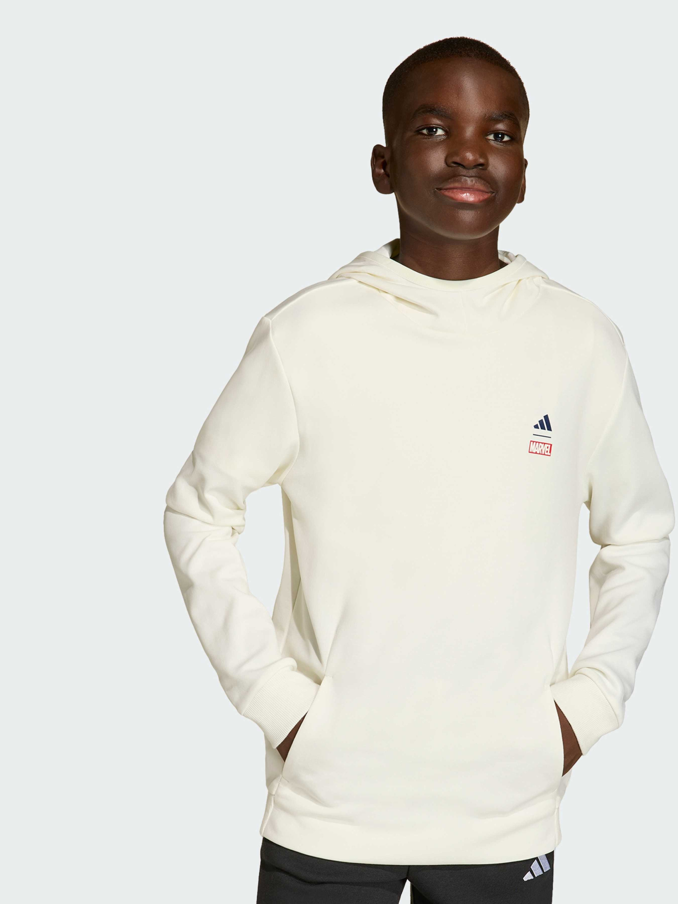 Худи и свитшоты Adidas Marvel модель JZ3556 Фото