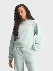 Худи и свитшоты Adidas модель JZ0673 Фото