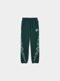 Штани PUMA Hoops x Harry Potter Sweat модель 633112 Фото