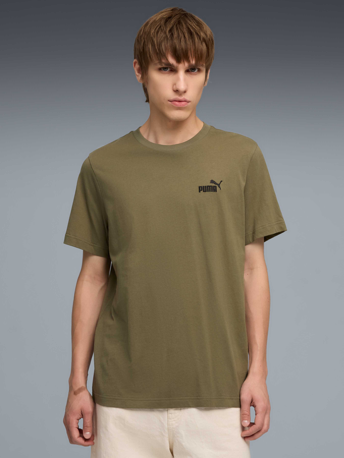 Футболки і поло PUMA Ess Small No. 1 Logo Tee модель 682535 Футболки і поло PUMA Ess Small No. 1 Logo Tee модель 682535 Фото