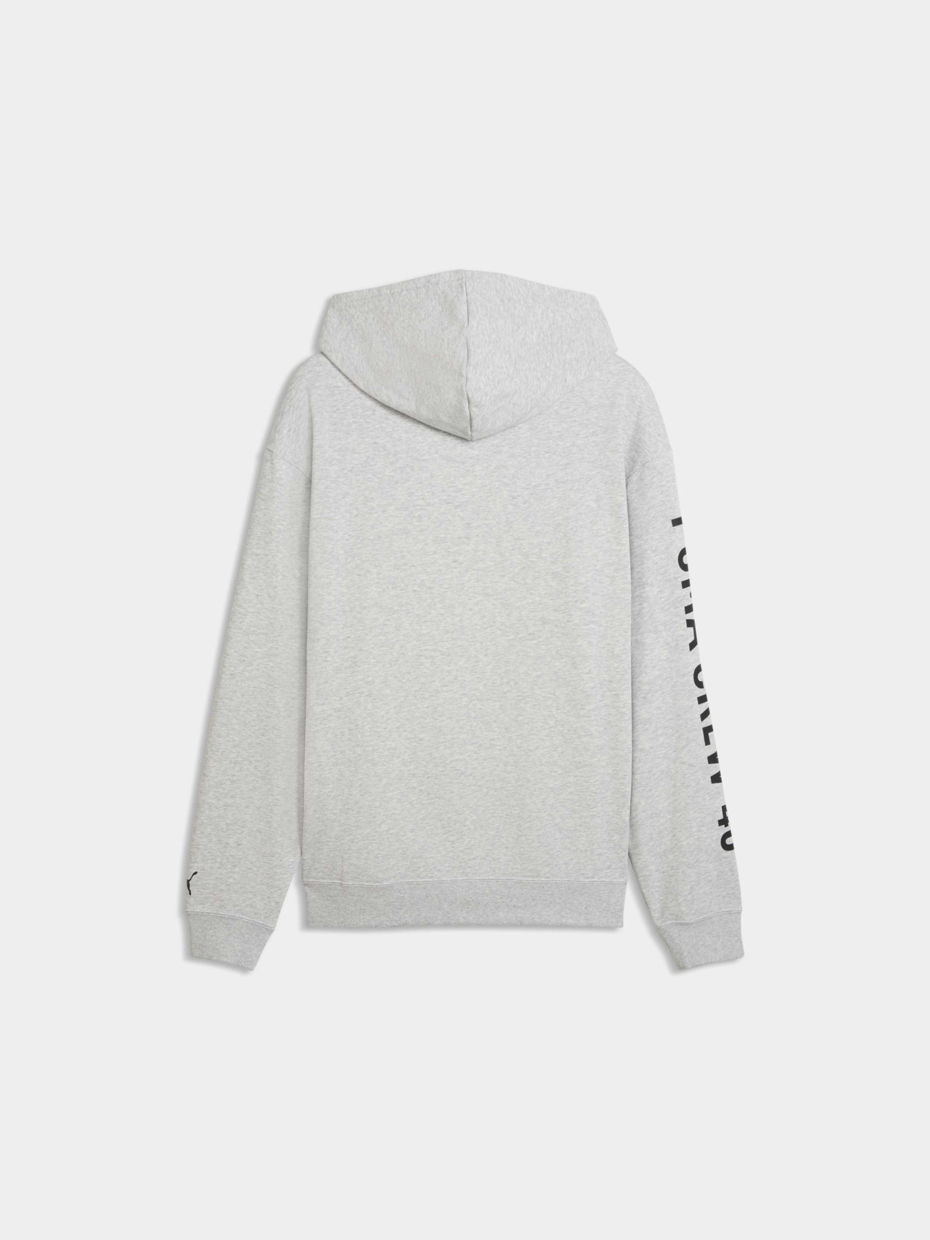 Худи и свитшоты PUMA M Graphics Frnch Trry Hoodie модель 528670 Фото