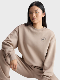 Худи и свитшоты Adidas модель KF8865 Фото