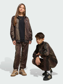 Штани Adidas Graphics модель KD3200 Фото