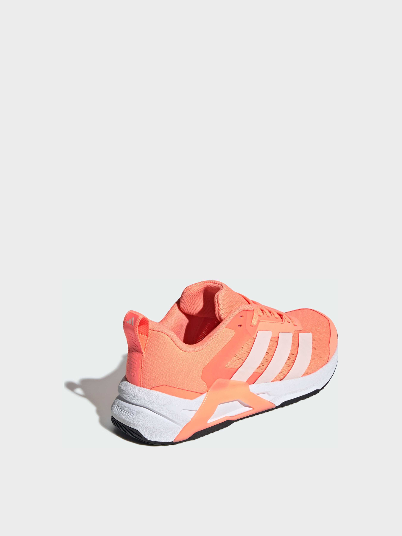 Кросівки Adidas модель JQ1446 Фото