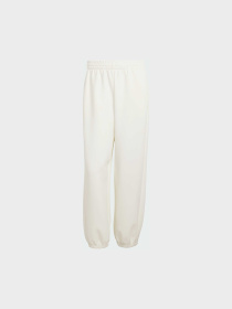 Штани Adidas модель KF8574 Фото