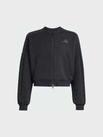 Худи и свитшоты Adidas Культовые силуэты модель KR2253 Фото