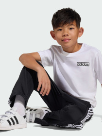 Костюми Adidas Adicolor модель KD3990 Фото