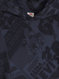 Худи и свитшоты Levi's модель 0065D;0000 Фото