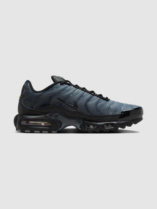 Кросівки NIKE Air Max Plus Prm модель IB2253-001 Фото