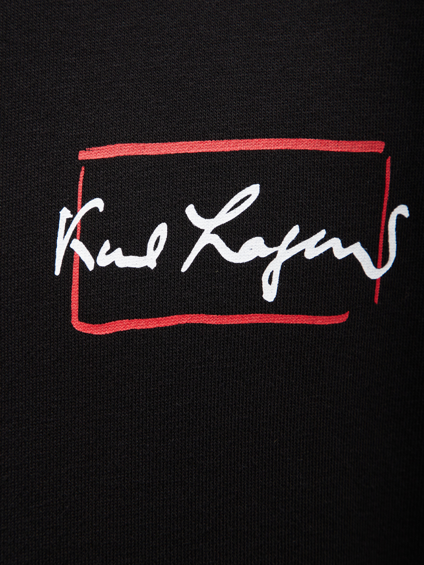 Худі та світшоти Karl Lagerfeld модель 544910.705048;990 Фото