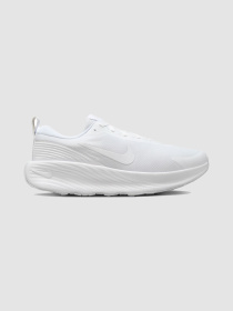 Кроссовки NIKE Promina модель FV5285-100 Фото